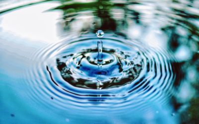 Unser Trinkwasser, Urquell des Lebens
